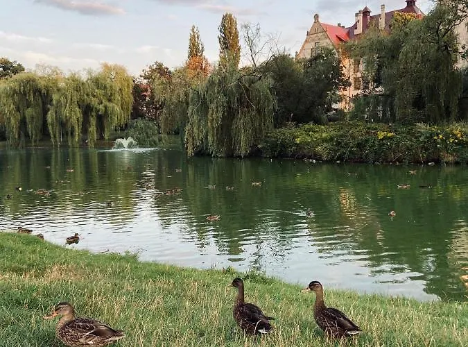 Sofa Apartment Wroclaw